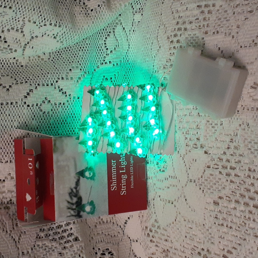 Nwt MANOR LANE Shimmering String Lights Flexible LED Lights 10ft
